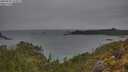 ./images/calvert/foggy-cove/20250515/foggy-cove20250515_141011M.jpg