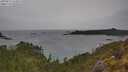 ./images/calvert/foggy-cove/20250515/foggy-cove20250515_143008M.jpg