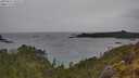 ./images/calvert/foggy-cove/20250515/foggy-cove20250515_143509M.jpg