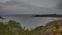 ./images/calvert/foggy-cove/20250515/foggy-cove20250515_163010M.jpg