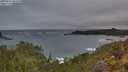./images/calvert/foggy-cove/20250516/foggy-cove20250516_061010M.jpg