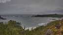 ./images/calvert/foggy-cove/20250516/foggy-cove20250516_082509M.jpg