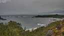 ./images/calvert/foggy-cove/20250516/foggy-cove20250516_083010M.jpg