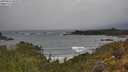 ./images/calvert/foggy-cove/20250516/foggy-cove20250516_095009M.jpg