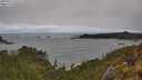 ./images/calvert/foggy-cove/20250516/foggy-cove20250516_143509M.jpg