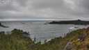 ./images/calvert/foggy-cove/20250516/foggy-cove20250516_152009M.jpg