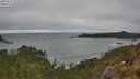 ./images/calvert/foggy-cove/20250516/foggy-cove20250516_153509M.jpg