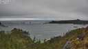 ./images/calvert/foggy-cove/20250516/foggy-cove20250516_154009M.jpg
