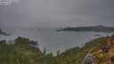 ./images/calvert/foggy-cove/20250517/foggy-cove20250517_063509M.jpg
