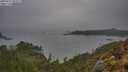 ./images/calvert/foggy-cove/20250517/foggy-cove20250517_064009M.jpg