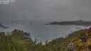 ./images/calvert/foggy-cove/20250517/foggy-cove20250517_065509M.jpg