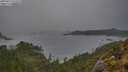 ./images/calvert/foggy-cove/20250517/foggy-cove20250517_072009M.jpg