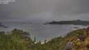 ./images/calvert/foggy-cove/20250517/foggy-cove20250517_073509M.jpg