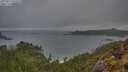 ./images/calvert/foggy-cove/20250517/foggy-cove20250517_074509M.jpg