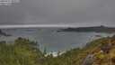 ./images/calvert/foggy-cove/20250517/foggy-cove20250517_080009M.jpg