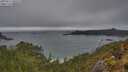 ./images/calvert/foggy-cove/20250517/foggy-cove20250517_080510M.jpg