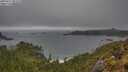 ./images/calvert/foggy-cove/20250517/foggy-cove20250517_081010M.jpg