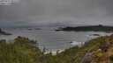 ./images/calvert/foggy-cove/20250517/foggy-cove20250517_085509M.jpg