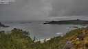 ./images/calvert/foggy-cove/20250517/foggy-cove20250517_091009M.jpg