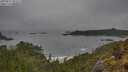 ./images/calvert/foggy-cove/20250517/foggy-cove20250517_094509M.jpg