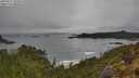 ./images/calvert/foggy-cove/20250517/foggy-cove20250517_103010M.jpg