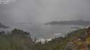 ./images/calvert/foggy-cove/20250517/foggy-cove20250517_110509M.jpg