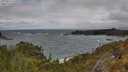 ./images/calvert/foggy-cove/20250517/foggy-cove20250517_142010M.jpg