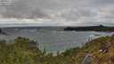 ./images/calvert/foggy-cove/20250517/foggy-cove20250517_155509M.jpg