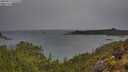 ./images/calvert/foggy-cove/20250519/foggy-cove20250519_075510M.jpg