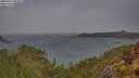 ./images/calvert/foggy-cove/20250519/foggy-cove20250519_082010M.jpg
