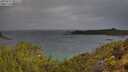 ./images/calvert/foggy-cove/20250519/foggy-cove20250519_082507M.jpg
