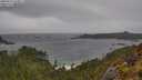 ./images/calvert/foggy-cove/20250519/foggy-cove20250519_143011M.jpg