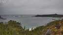 ./images/calvert/foggy-cove/20250519/foggy-cove20250519_152509M.jpg