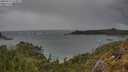 ./images/calvert/foggy-cove/20250519/foggy-cove20250519_154009M.jpg