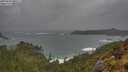 ./images/calvert/foggy-cove/20250520/foggy-cove20250520_090510M.jpg