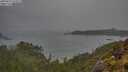./images/calvert/foggy-cove/20250521/foggy-cove20250521_074509M.jpg