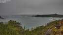 ./images/calvert/foggy-cove/20250521/foggy-cove20250521_082010M.jpg