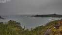 ./images/calvert/foggy-cove/20250521/foggy-cove20250521_082510M.jpg