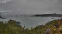 ./images/calvert/foggy-cove/20250521/foggy-cove20250521_090508M.jpg