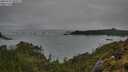 ./images/calvert/foggy-cove/20250521/foggy-cove20250521_092011M.jpg