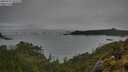 ./images/calvert/foggy-cove/20250521/foggy-cove20250521_092510M.jpg