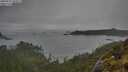 ./images/calvert/foggy-cove/20250521/foggy-cove20250521_093011M.jpg