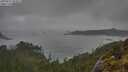 ./images/calvert/foggy-cove/20250521/foggy-cove20250521_094008M.jpg