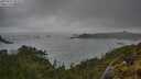 ./images/calvert/foggy-cove/20250521/foggy-cove20250521_095010M.jpg