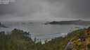 ./images/calvert/foggy-cove/20250521/foggy-cove20250521_095509M.jpg