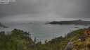 ./images/calvert/foggy-cove/20250521/foggy-cove20250521_100011M.jpg