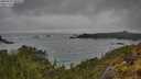 ./images/calvert/foggy-cove/20250521/foggy-cove20250521_102506M.jpg