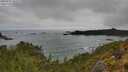 ./images/calvert/foggy-cove/20250521/foggy-cove20250521_103508M.jpg