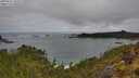 ./images/calvert/foggy-cove/20250521/foggy-cove20250521_104510M.jpg