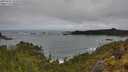 ./images/calvert/foggy-cove/20250521/foggy-cove20250521_105010M.jpg